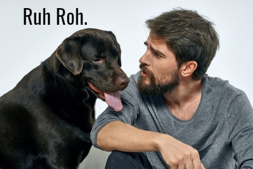 DOG VS. BEARD – MANBASICS RANT