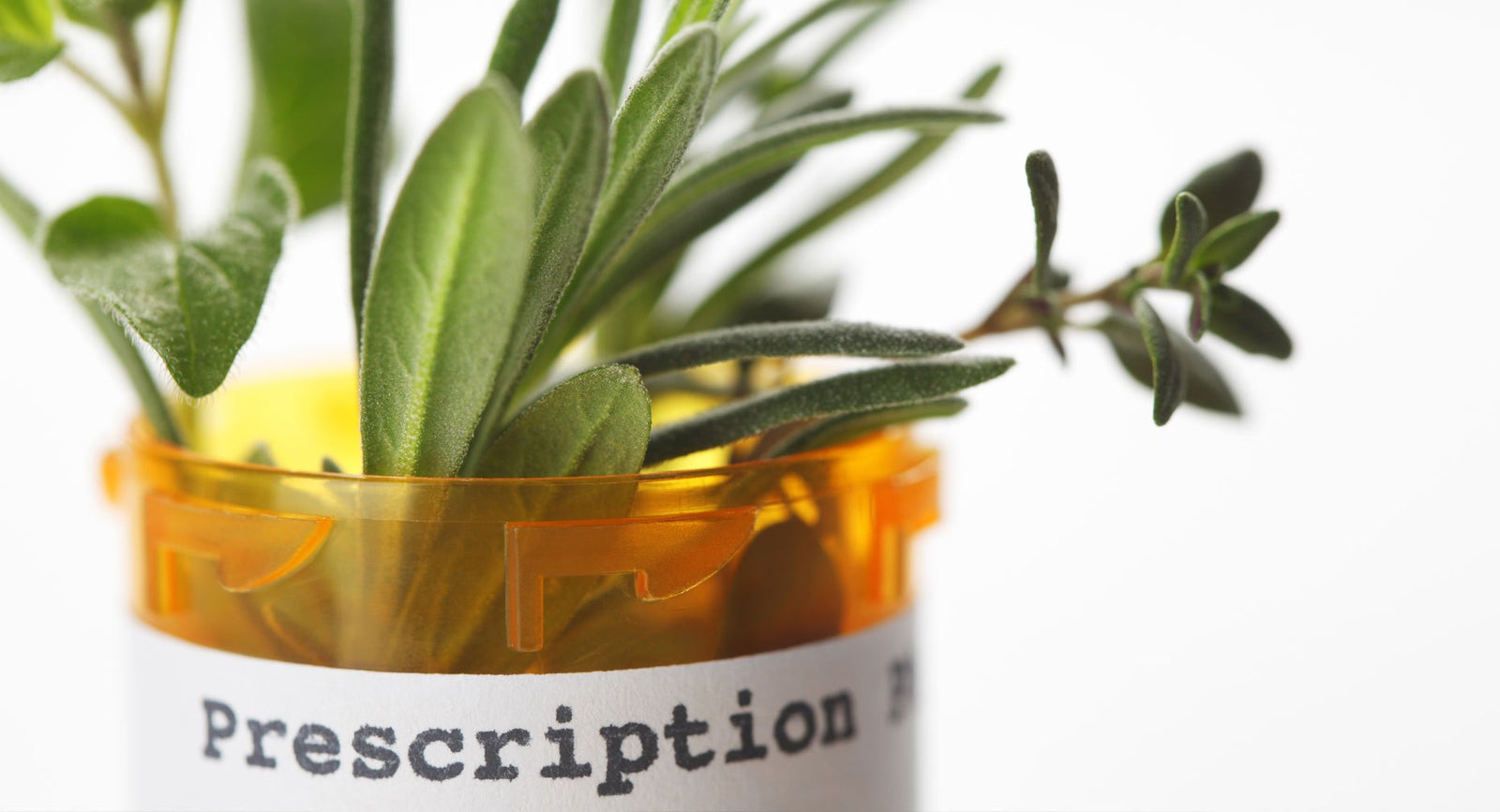 Minoxidil Beard Growth